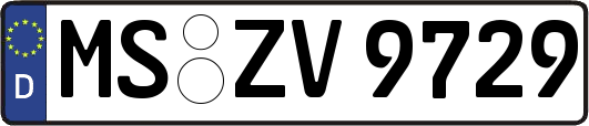 MS-ZV9729