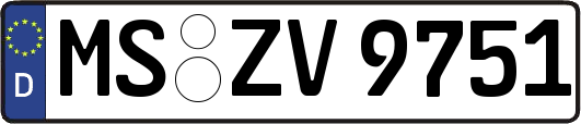 MS-ZV9751