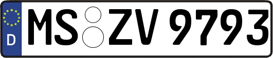 MS-ZV9793