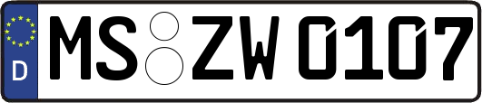 MS-ZW0107