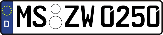 MS-ZW0250