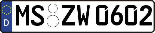 MS-ZW0602