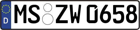 MS-ZW0658