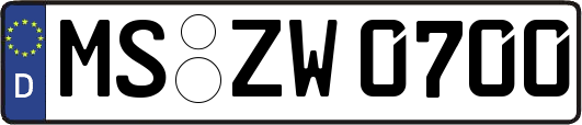 MS-ZW0700