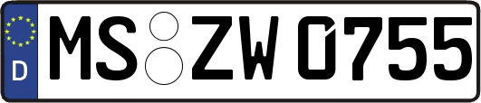 MS-ZW0755