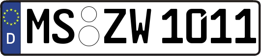 MS-ZW1011