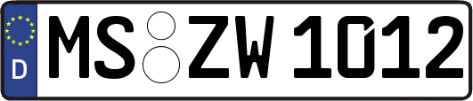 MS-ZW1012