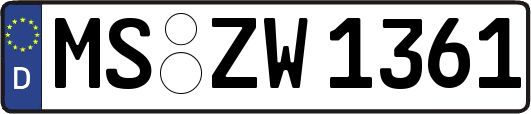 MS-ZW1361
