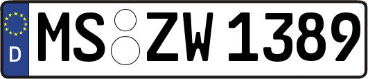 MS-ZW1389