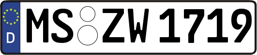 MS-ZW1719