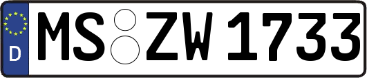 MS-ZW1733