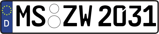 MS-ZW2031