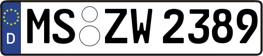MS-ZW2389