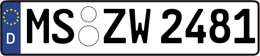 MS-ZW2481