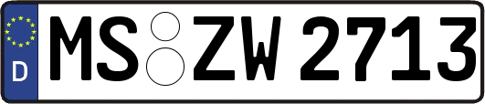 MS-ZW2713