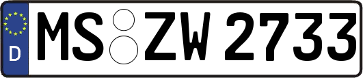 MS-ZW2733