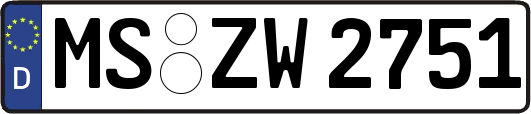MS-ZW2751