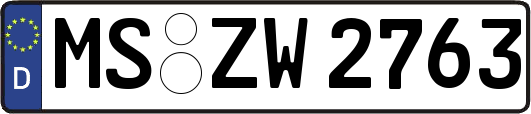 MS-ZW2763
