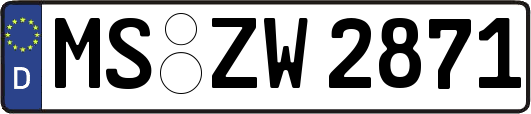 MS-ZW2871