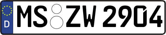 MS-ZW2904