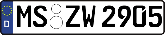 MS-ZW2905