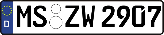 MS-ZW2907