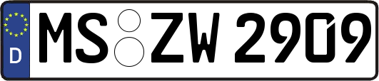 MS-ZW2909