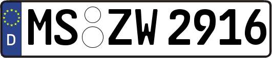 MS-ZW2916