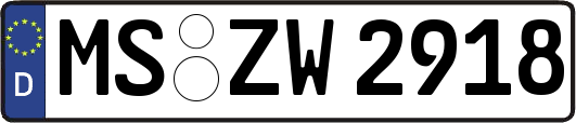 MS-ZW2918