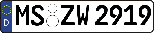 MS-ZW2919