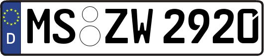 MS-ZW2920