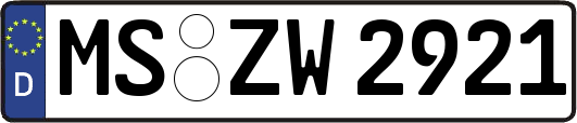 MS-ZW2921