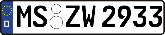 MS-ZW2933