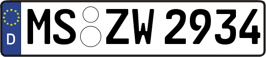MS-ZW2934