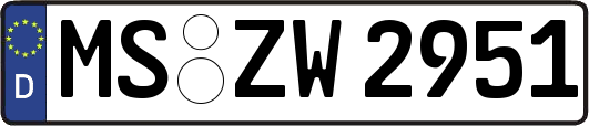 MS-ZW2951