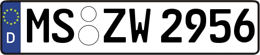 MS-ZW2956