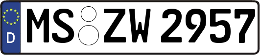MS-ZW2957