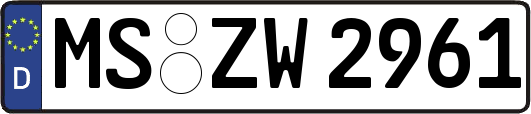 MS-ZW2961