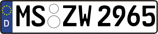 MS-ZW2965