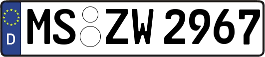 MS-ZW2967