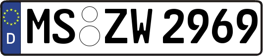 MS-ZW2969