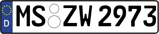 MS-ZW2973