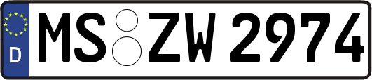 MS-ZW2974
