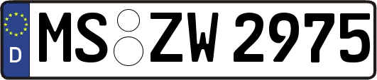 MS-ZW2975