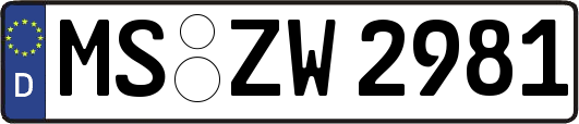 MS-ZW2981