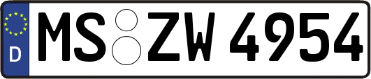 MS-ZW4954