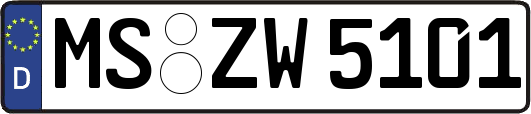 MS-ZW5101