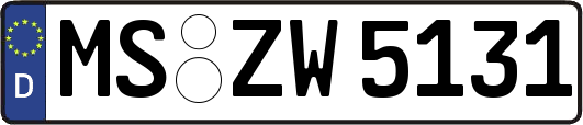 MS-ZW5131