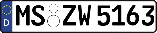 MS-ZW5163