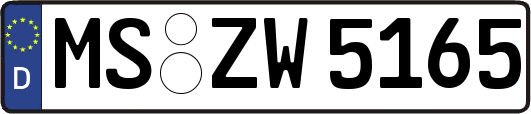 MS-ZW5165
